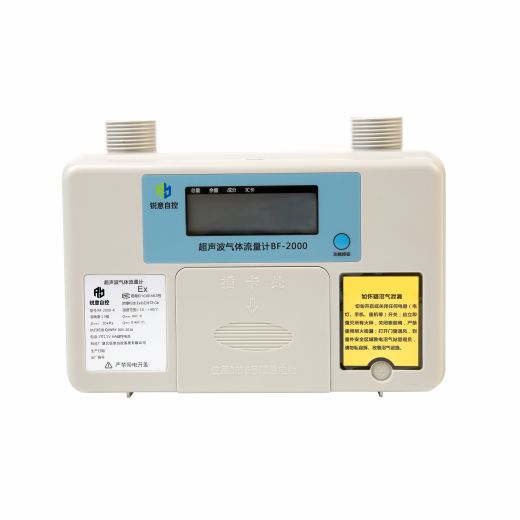 Residential Gas Meter BF-2000