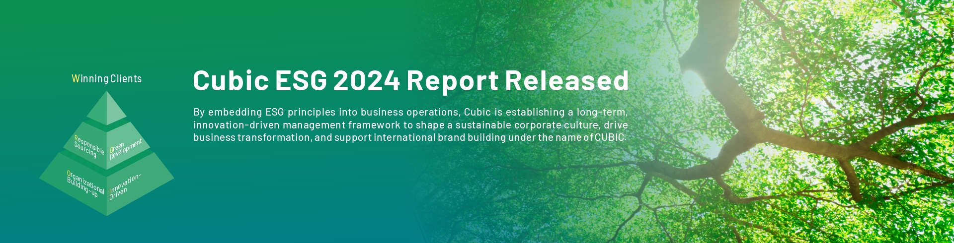Cubic ESG Report.jpg