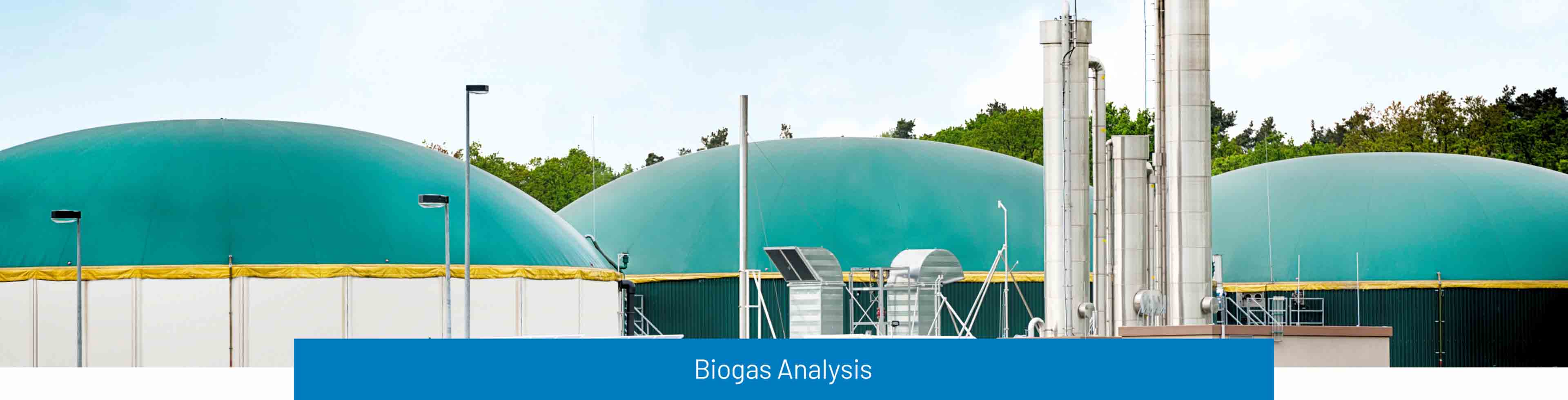 Biogas Analysis